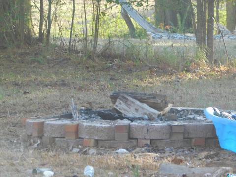 2954 Mount Olive Rd, Mount Olive, AL 35117 photo 34