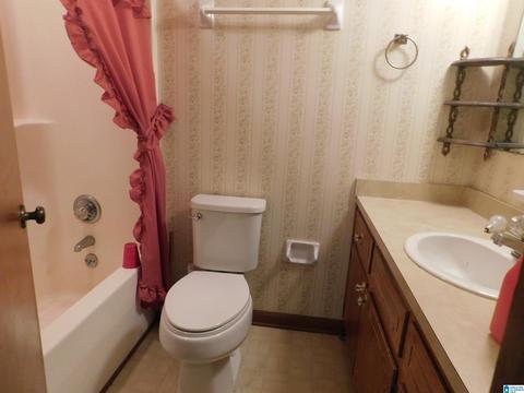 2954 Mount Olive Rd, Mount Olive, AL 35117 photo 14