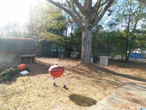 2954 Mount Olive Rd, Mount Olive, AL 35117 photo 28