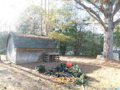 2954 Mount Olive Rd, Mount Olive, AL 35117 photo 32