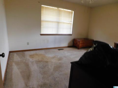 2954 Mount Olive Rd, Mount Olive, AL 35117 photo 10