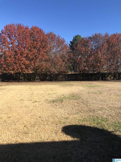 906 Studdard Dr, Clanton, AL 35045 photo 20