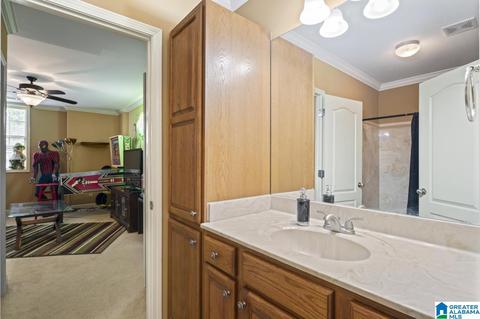 22562 Iron Masters Loop, Mc Calla, AL 35111 photo 30