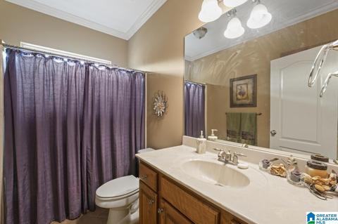 22562 Iron Masters Loop, Mc Calla, AL 35111 photo 10