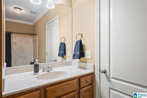 22562 Iron Masters Loop, Mc Calla, AL 35111 photo 29