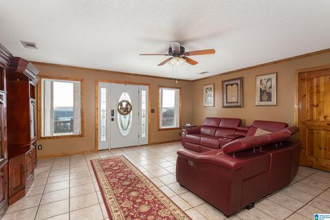 443 Lock 4 Rd, Riverside, AL 35135 photo 12