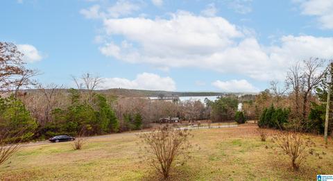 443 Lock 4 Rd, Riverside, AL 35135 photo 31