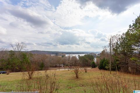 443 Lock 4 Rd, Riverside, AL 35135 photo 32