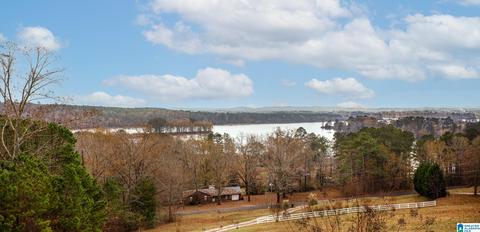 443 Lock 4 Rd, Riverside, AL 35135 photo 30