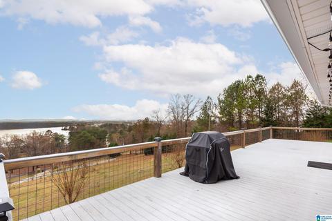 443 Lock 4 Rd, Riverside, AL 35135 photo 10