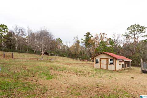 443 Lock 4 Rd, Riverside, AL 35135 photo 35
