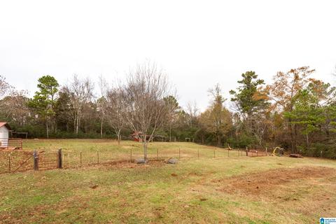 443 Lock 4 Rd, Riverside, AL 35135 photo 37