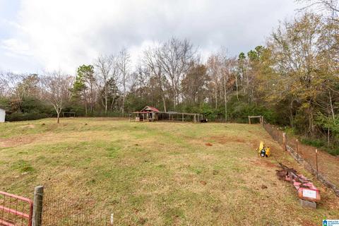 443 Lock 4 Rd, Riverside, AL 35135 photo 39