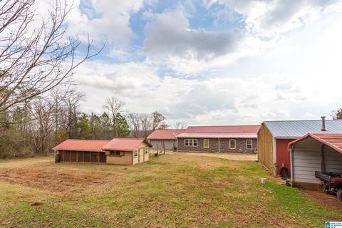 443 Lock 4 Rd, Riverside, AL 35135 photo 38