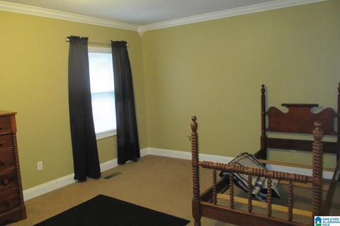 125 Cedar Dr, Oneonta, AL 35121 photo 14