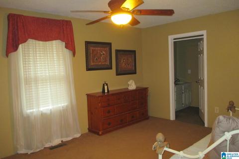 125 Cedar Dr, Oneonta, AL 35121 photo 17