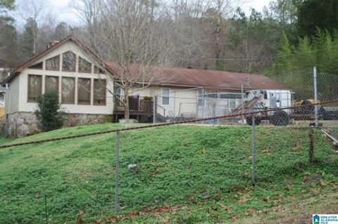 125 Cedar Dr, Oneonta, AL 35121 photo 1