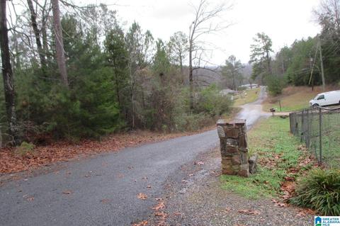 125 Cedar Dr, Oneonta, AL 35121 photo 36