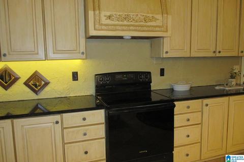 125 Cedar Dr, Oneonta, AL 35121 photo 10