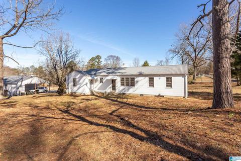 80 Pine St, Oneonta, AL 35121 photo 29