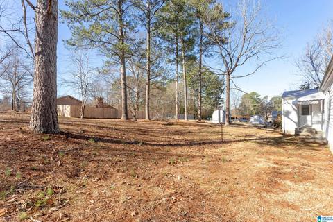 80 Pine St, Oneonta, AL 35121 photo 28