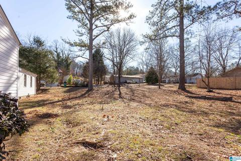 80 Pine St, Oneonta, AL 35121 photo 32