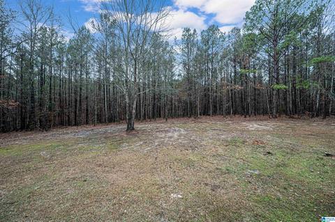 400 Rivercrest Dr, Vincent, AL 35178 photo 53