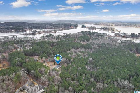 400 Rivercrest Dr, Vincent, AL 35178 photo 60