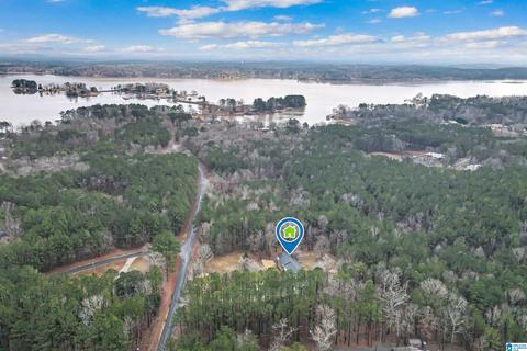 400 Rivercrest Dr, Vincent, AL 35178 photo 58