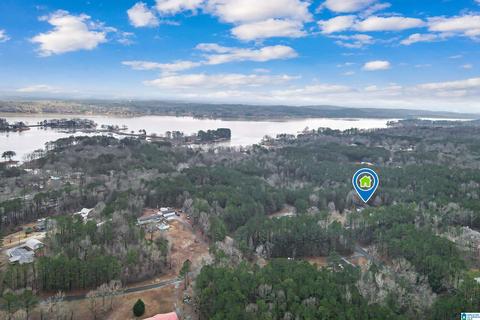 400 Rivercrest Dr, Vincent, AL 35178 photo 65