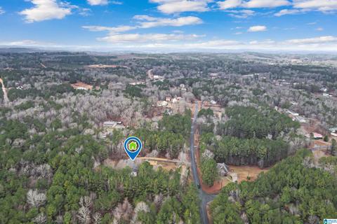 400 Rivercrest Dr, Vincent, AL 35178 photo 63