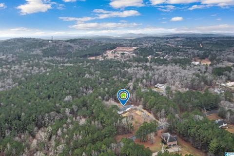 400 Rivercrest Dr, Vincent, AL 35178 photo 64