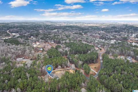 400 Rivercrest Dr, Vincent, AL 35178 photo 62