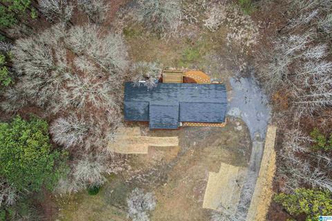400 Rivercrest Dr, Vincent, AL 35178 photo 55