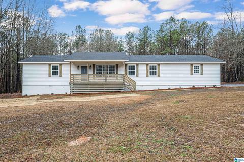 400 Rivercrest Dr, Vincent, AL 35178 photo 10