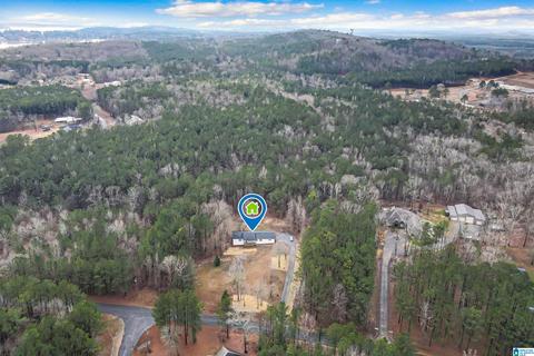 400 Rivercrest Dr, Vincent, AL 35178 photo 56