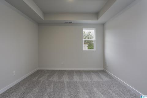 9925 Hunter Pl, Warrior, AL 35180 photo 22