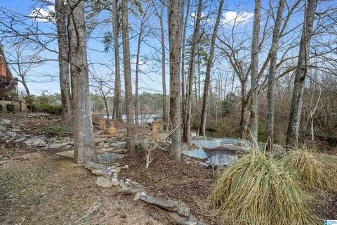 20 Cherokee Cv, Clanton, AL 35046 photo 44