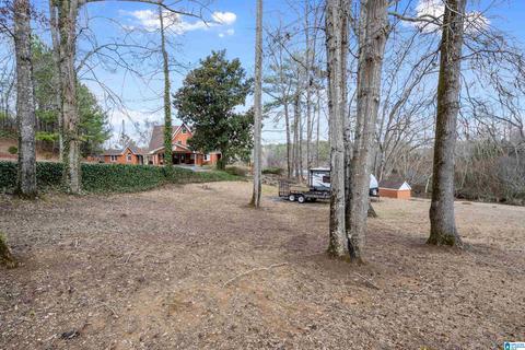 20 Cherokee Cv, Clanton, AL 35046 photo 43