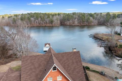 20 Cherokee Cv, Clanton, AL 35046 photo 49