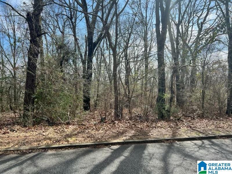 0 Mcdaniel Ave 1, Anniston, AL 36201 2 Photos MLS 1344478 Movoto