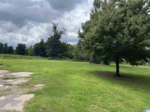 1040 Ebell Rd, Oneonta, AL 35121 photo 5