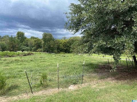 1040 Ebell Rd, Oneonta, AL 35121 photo 3