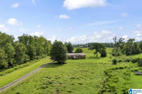 1040 Ebell Rd, Oneonta, AL 35121 photo 8