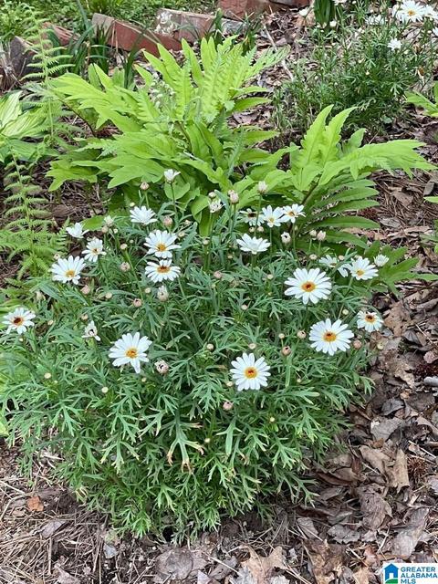 93 Azalea Trl, Oneonta, AL 35121 photo 52