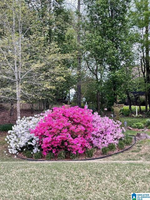 93 Azalea Trl, Oneonta, AL 35121 photo 48
