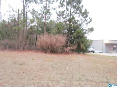 00 Highway 87 #1, County, AL 35040