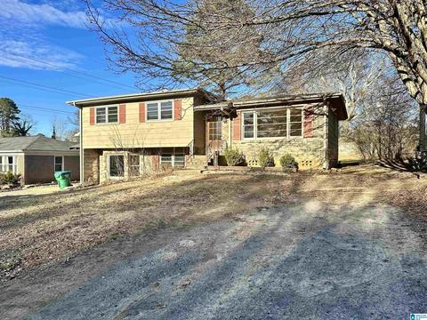 33 Pine St, Oneonta, AL 35121 photo 1
