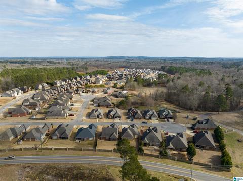 72 Christy Ln, Jasper, AL 35504 photo 31