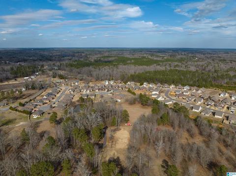 72 Christy Ln, Jasper, AL 35504 photo 34
